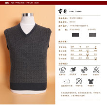 Yak Wool/Cashmere V Neck Pullover Long Sleeve Sweater/Clothes/Garment/Knitwear